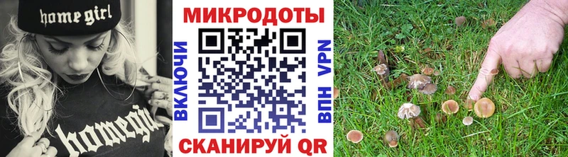 Галлюциногенные грибы Psilocybe  Заозёрск 